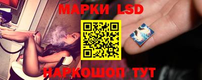 стаф Краснодар